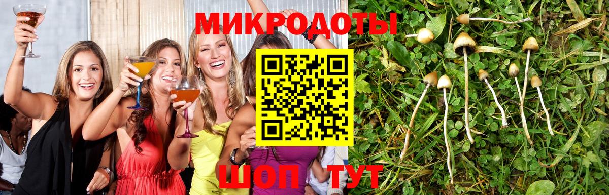 Галлюциногенные грибы прущие грибы  Вход с VPN  Ульяновск  Галлюциногенные грибы ЛСД 